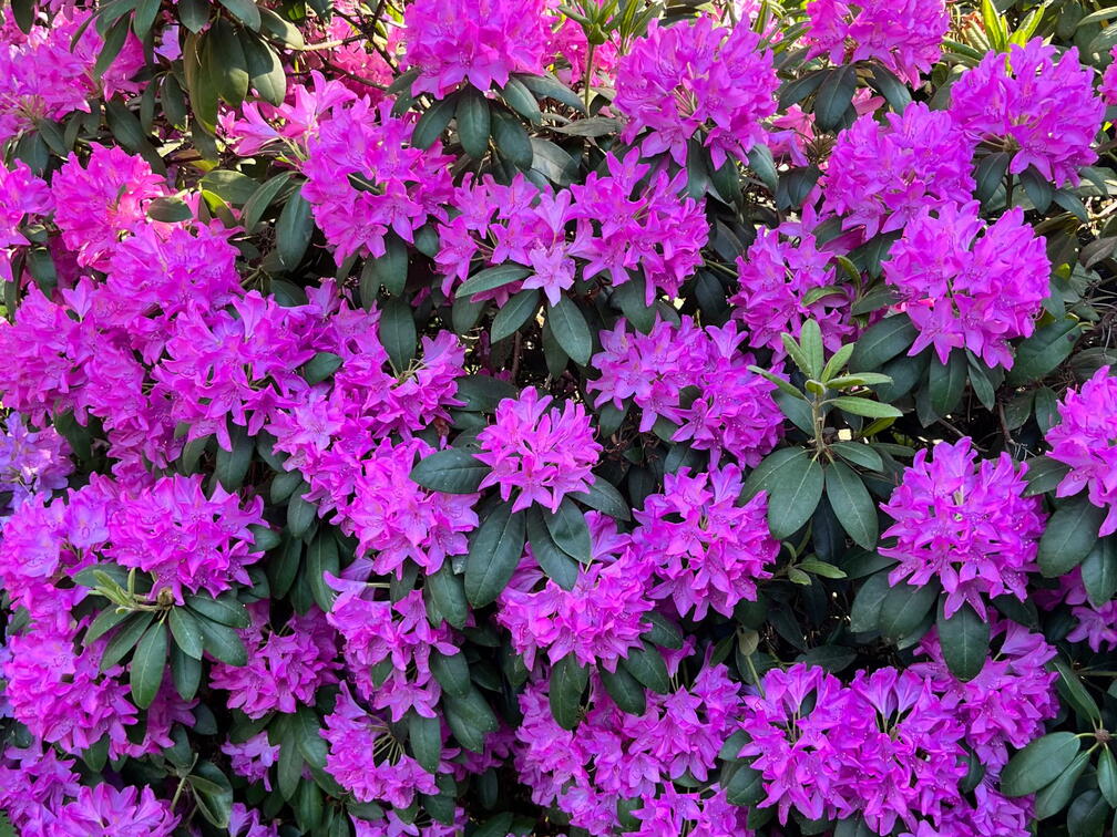 23-06-03 17-36-15 5829